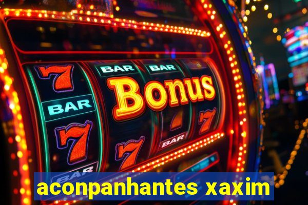 aconpanhantes xaxim